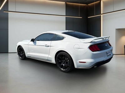 2019 Ford Mustang EcoBoost