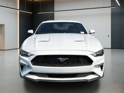 2019 Ford Mustang EcoBoost
