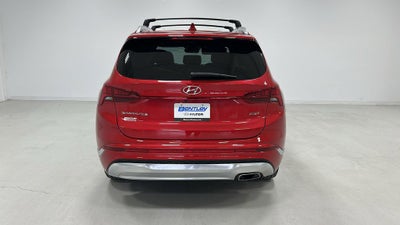2023 Hyundai SANTA FE Calligraphy