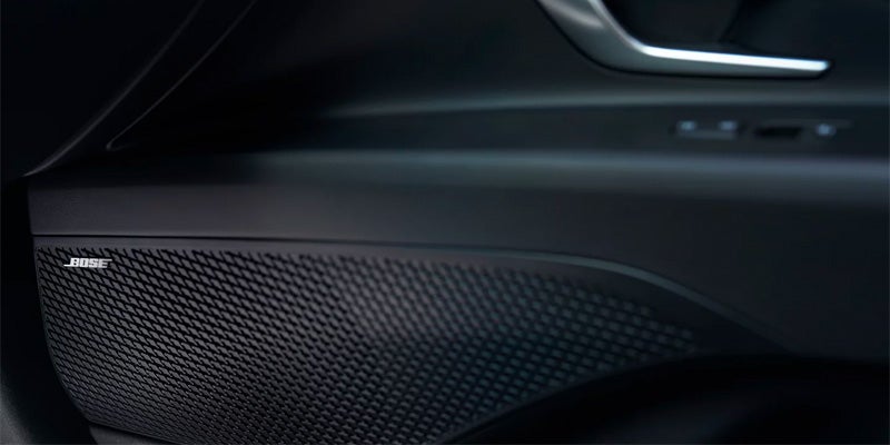 Close-up of Bose speaker on Hyundai door panel